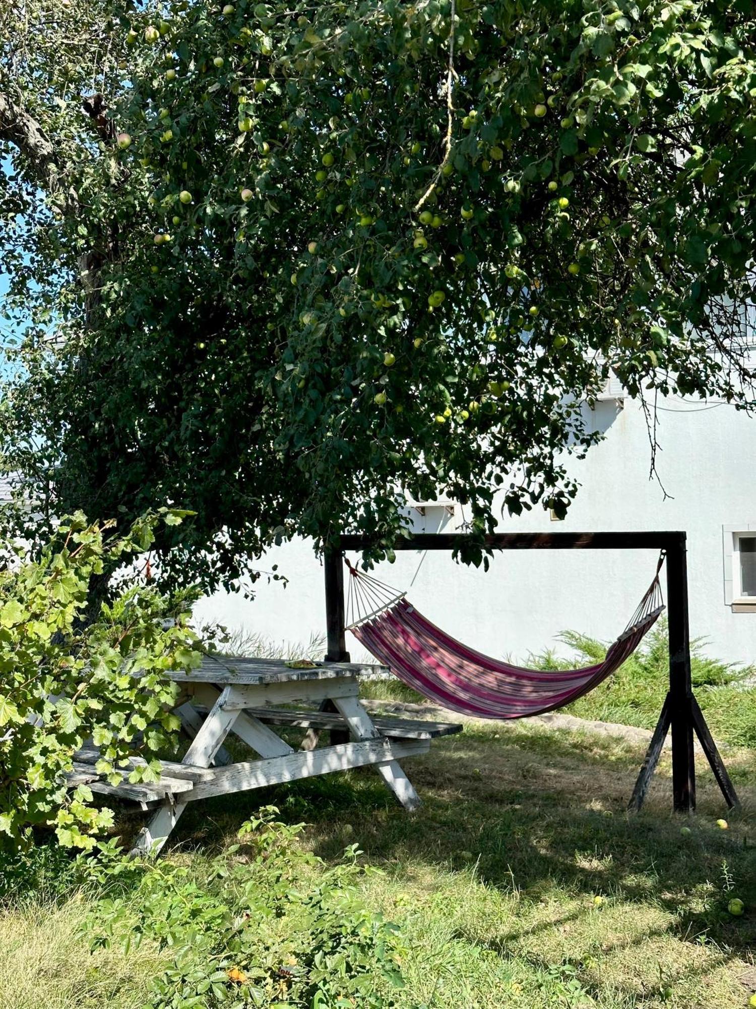 Maison Blanche Ecohousе Mytnitsa Bagian luar foto