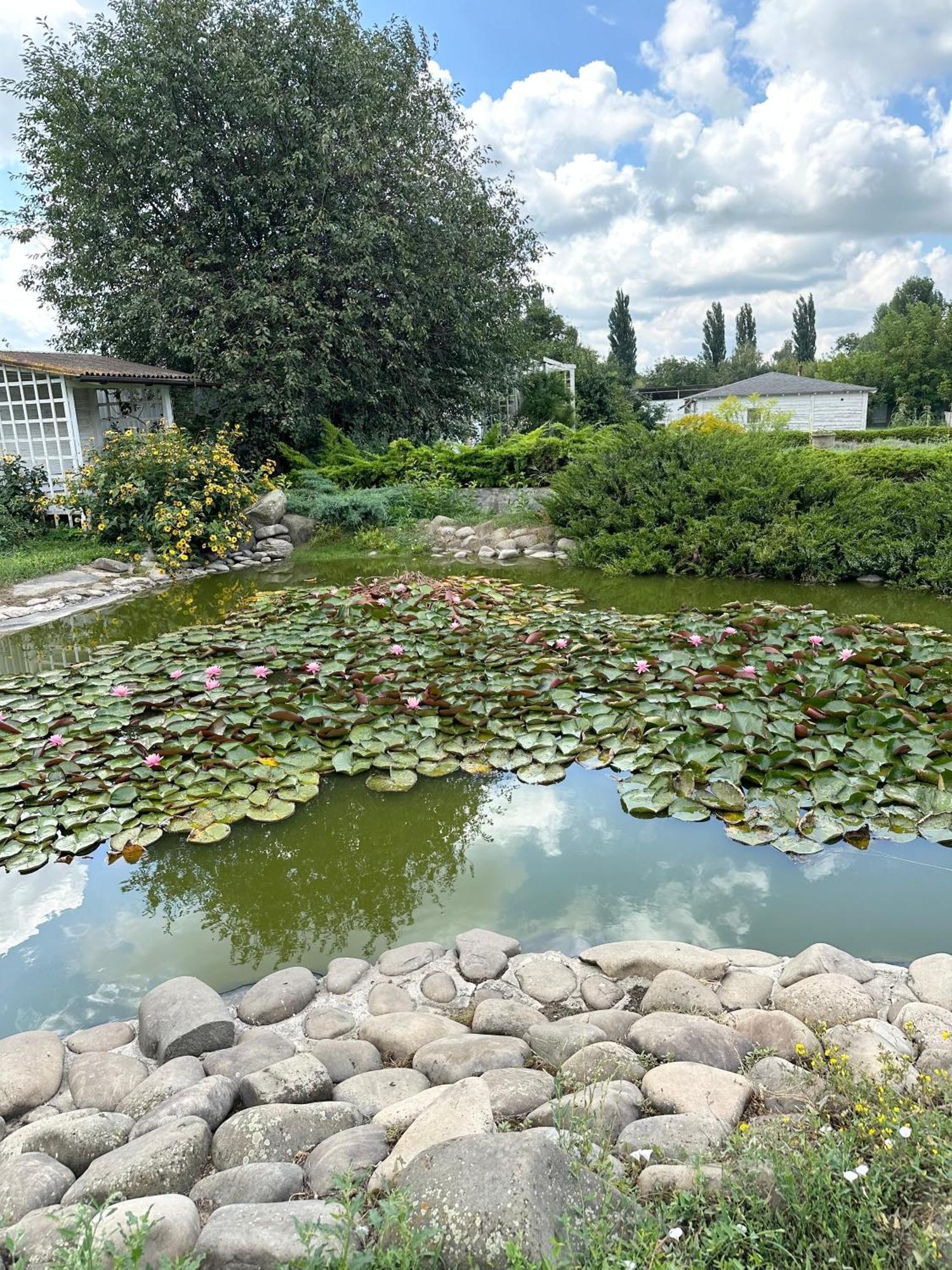 Maison Blanche Ecohousе Mytnitsa Bagian luar foto