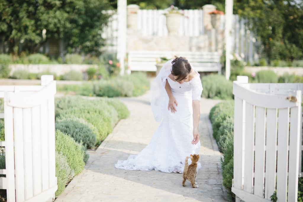 Maison Blanche Ecohousе Mytnitsa Bagian luar foto