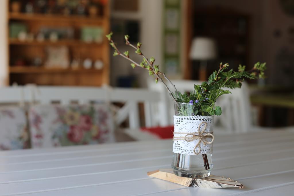 Maison Blanche Ecohousе Mytnitsa Bagian luar foto