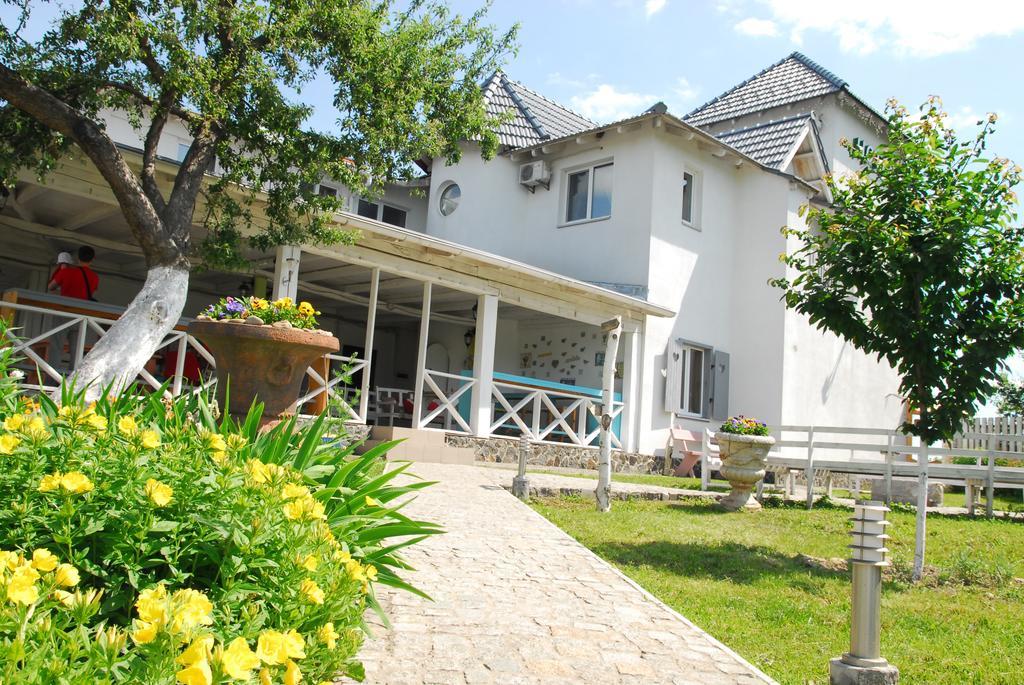 Maison Blanche Ecohousе Mytnitsa Bagian luar foto